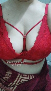 Проститутка Кызылорды Анкета №315277 Фотография №3161046